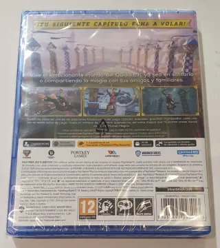 Videogioco Harry Potter - Campioni / PS5 (Nuovo)