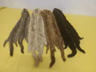 4 Bisones (gris, beige, marrón claro, oscuro)