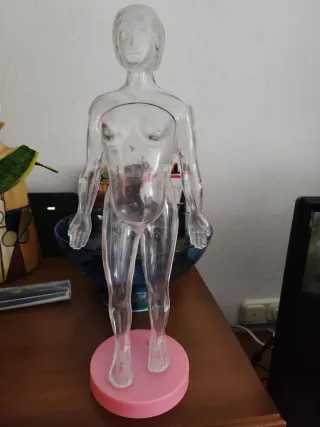 Colección El Cuerpo Humano + Atlas y Figuras.