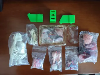 Colección El Cuerpo Humano + Atlas y Figuras.