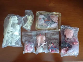 Colección El Cuerpo Humano + Atlas y Figuras.