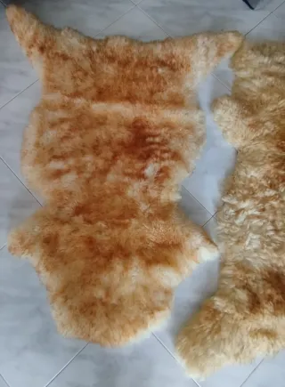 2 Alfombras de Muflón Lana Beige/Marrón