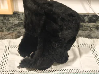 Gorro de piel, auténtico ruso