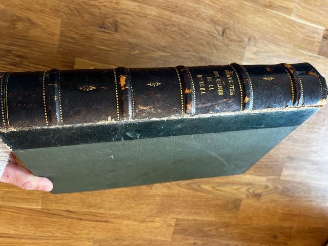 Don Quijote de la Mancha 1880