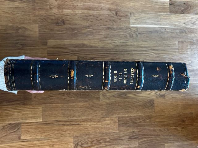 Don Quijote de la Mancha 1880