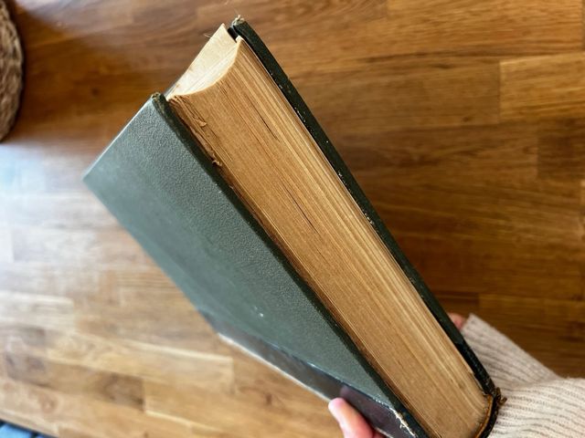 Don Quijote de la Mancha 1880