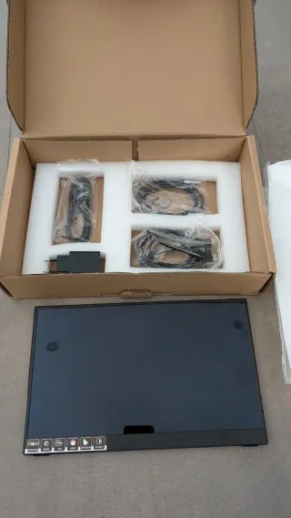 Monitor OLED 13.3 FullHD Negro