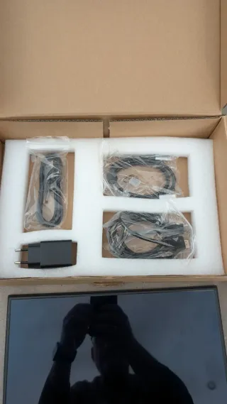 Monitor OLED 13.3 FullHD Negro