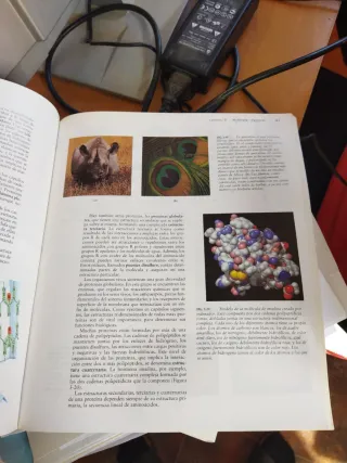 Invitacion a la Biologia (Spanish Edition)