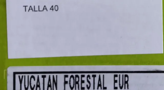 Botas Boreal Yucatán Forestal Talla 40 (25cm pie)