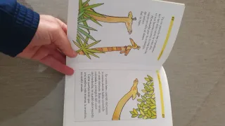 Una jirafa de otoño (El duende verde / The Gree...