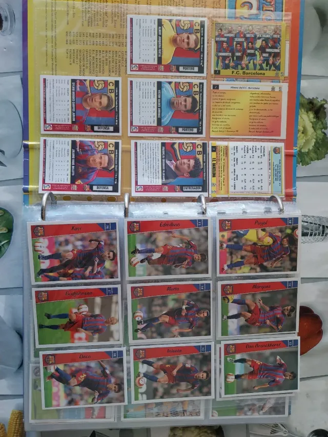 Las Fichas de la Liga 2006/2007