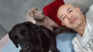 Servicio de cuidado de Mascotas