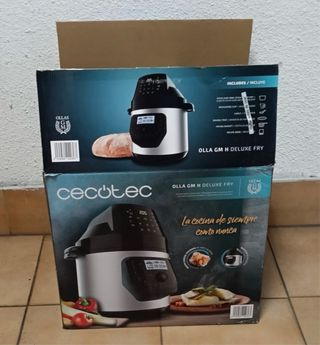 Olla programable GM H Deluxe Fry de CECOTEC