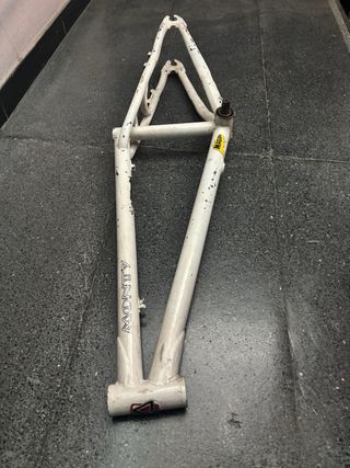 Cuadro Monty Clásica para Restaurar