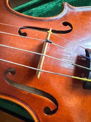 Violín 1/2