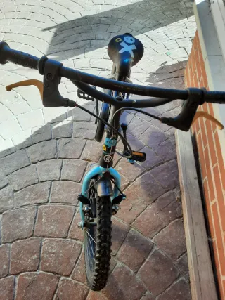 Bicicleta Infantil Btwin. Recogida solo