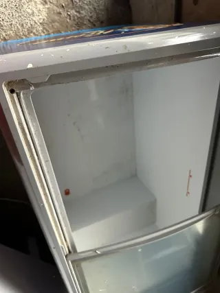 Arcón Congelador Horizontal Nestlé Xtreme