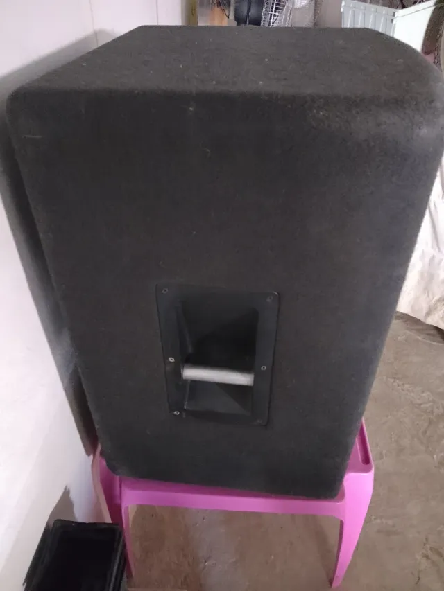 Altavoz pasivo WORK negro 15 pulgadas