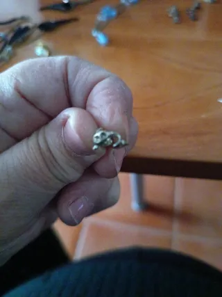 Pendientes de delfín plateados