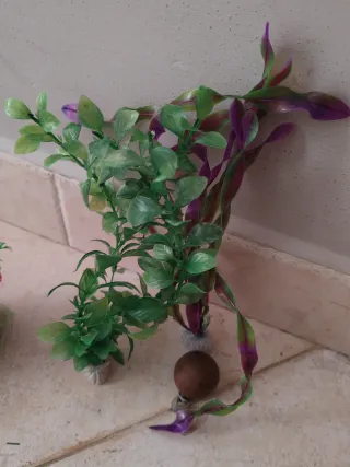 Piante finte per acquario.