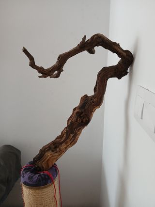 Madera de parra decorativa