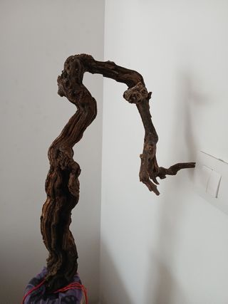 Madera de parra decorativa