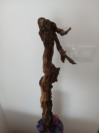 Madera de parra decorativa