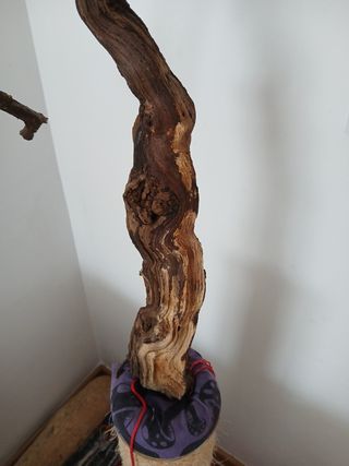 Madera de parra decorativa