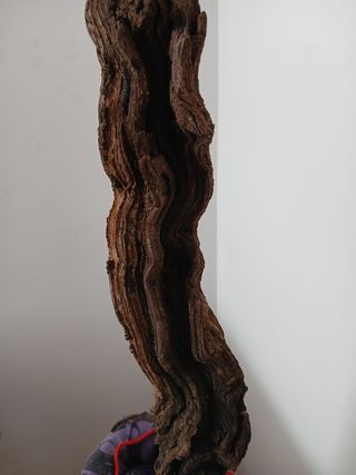 Madera de parra decorativa