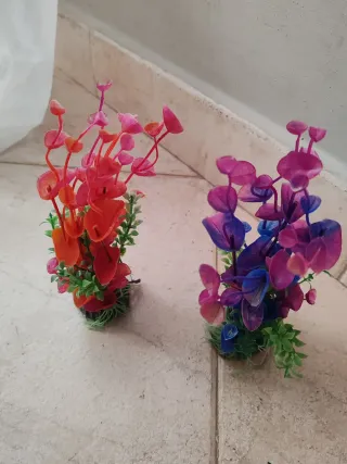 Piante finte per acquario