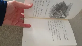 Las peleas de Inés y Paula (Spanish Edition)