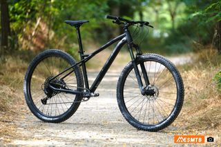 bicicleta de montaña GT AVALANCHE 29