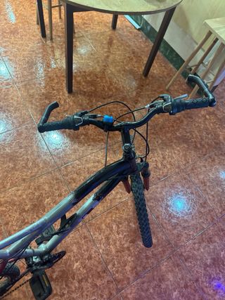 Bicicleta de montaña