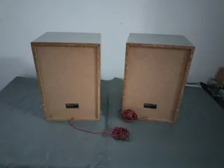 Altavoces Sony SS-RXD3E