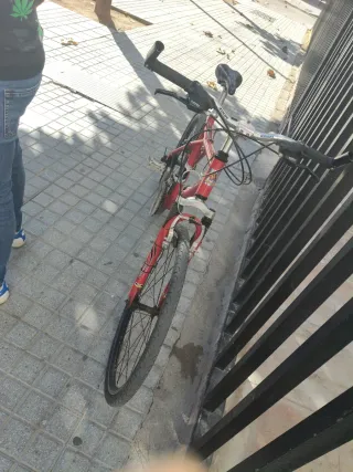 Bicicleta de montaña