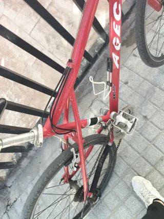 Bicicleta de montaña