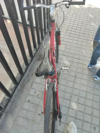 Bicicleta de montaña