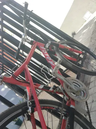 Bicicleta de montaña