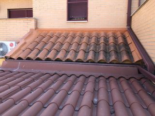 Tejados y canalones