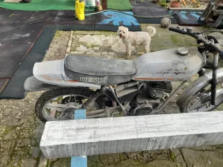 Piloto, Faro y Asiento Derbi Sport Coppa 49cc