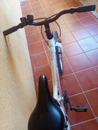 Bicicleta Infantil Riverside 20 Buen Estado