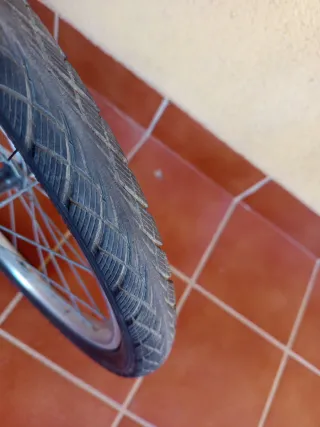 Bicicleta Infantil Riverside 20 Buen Estado