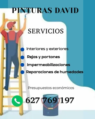 Pinturas David: Servicios de Pintura