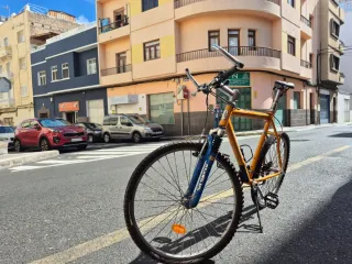 Bici Montaña Gisley con Marchas