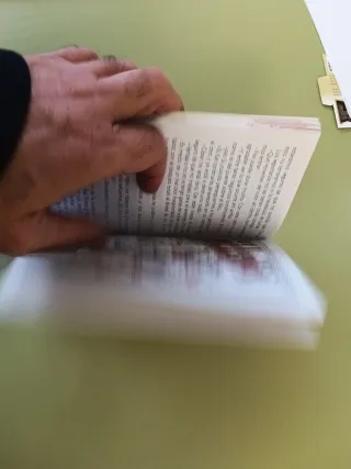 JULIO CESAR Y LA GUERRA DE LAS GALIAS