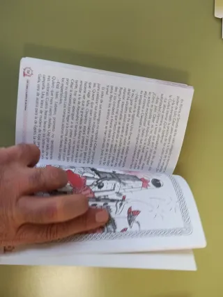 JULIO CESAR Y LA GUERRA DE LAS GALIAS