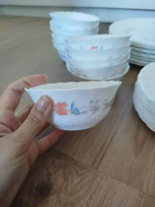 VAJILLA ARCOPAL 44 PIEZAS