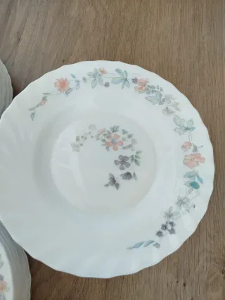 VAJILLA ARCOPAL 44 PIEZAS