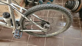 Bicicleta de Montaña Plata